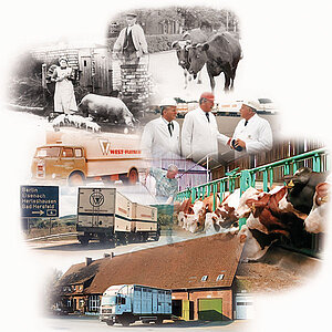 2003