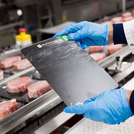 Im Fokus des Bildes ist eine noch leere Fleischverpackung. Sie wird gehalten von Händen in blauen Hygienehandschuhen. Im Hintergrund ist ein Fließband mit rohen Fleisch zu sehen.