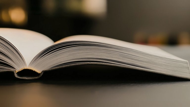 Ein aufgeschlagenes Buch liegt auf einem Tisch. Man kann nicht lesen, was in dem Buch steht, weil man es von vorne sieht. Der Hintergrund ist dunkel.