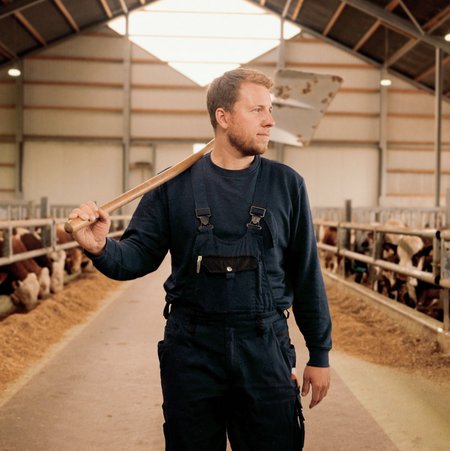 Ein Bauer in einem blauen Overall steht in einem Kuhstall. Er hat eine Schaufel über der Schulter und schaut zur Seite. Von oben fällt Licht in den Stall. Links und rechts hinter dem Bauern sind Kühe in ihren Boxen zu sehen.