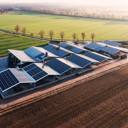 Luftaufnahme von landwirtschaftlichen Gebäuden, auf deren gesamter Dachfläche Solarzellen installiert sind. Auf der einen Seite der Gebäude ist ein braunes Feld, auf der anderen Seite eine grüne Wiese mit einer von Bäumen gesäumten Straße.